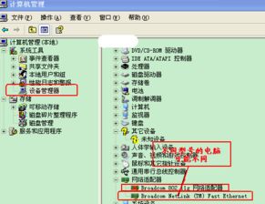 新电脑装了系统后没有网络连接怎么办——系统服务排查与解决全指南